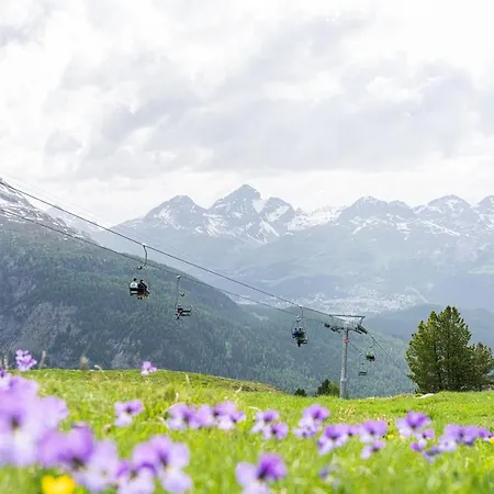 호텔 Sporthotel Pontresina 3*
